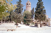 Urfa, Ulu Camii (XII sec.)